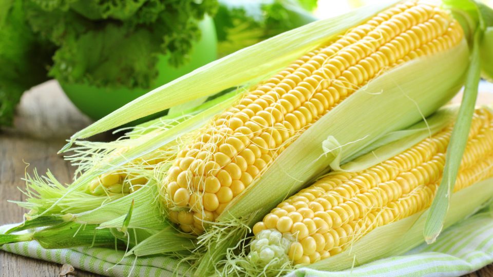 30 фактов о Кукурузе