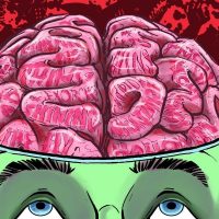 25 фактов о Мозге