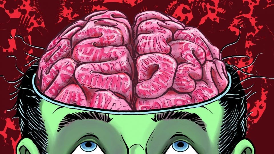 25 фактов о Мозге
