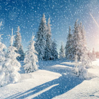 17 фактов о Снеге