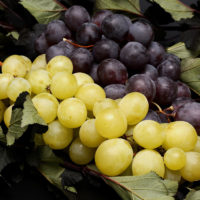 15 фактов о Винограде