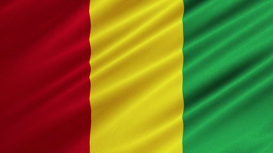 Интересные факты о Гвинее
